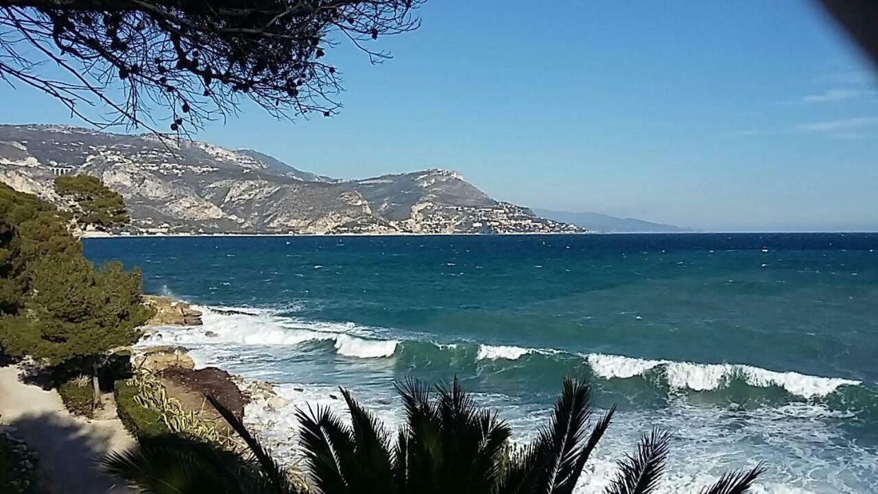 Port * Nizza